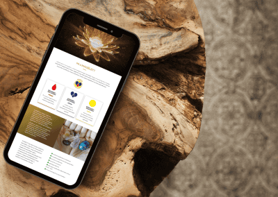 Magélet – honlapkészítés