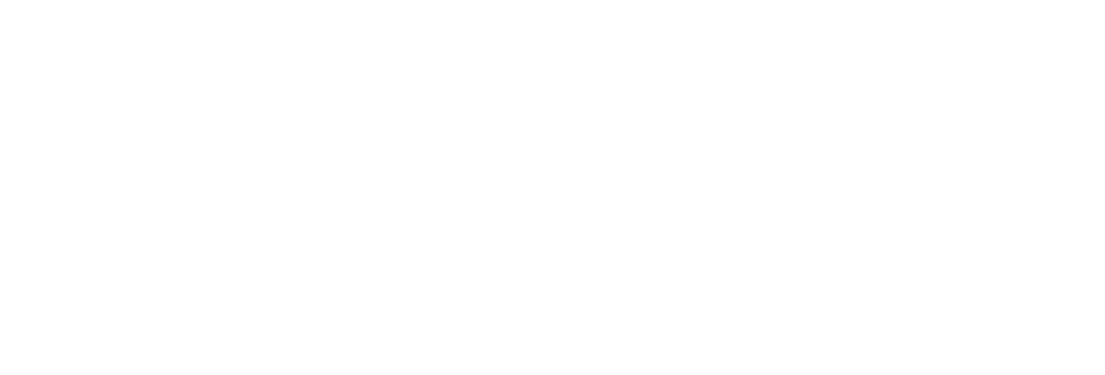 ZK Design_10 years_fehér ZK Design logo